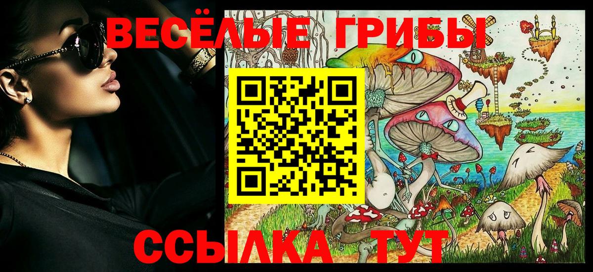 Галлюциногенные грибы Psilocybe Карасук