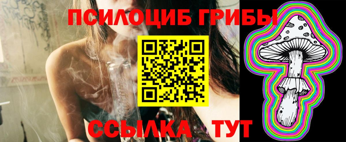 закладка  Галлюциногенные грибы мухоморы  Вход с VPN  Карасук 