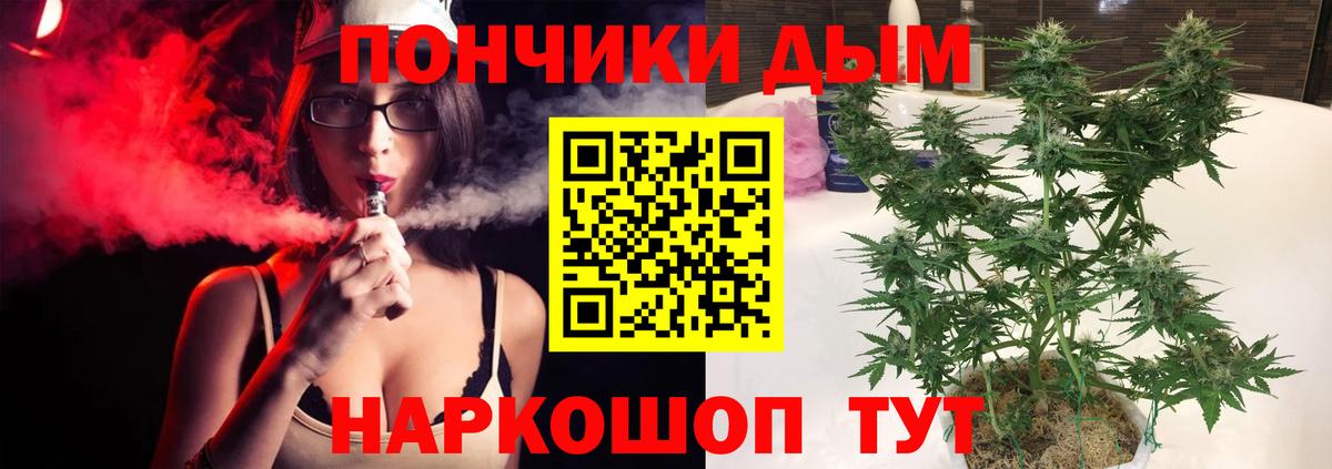 Канабис гибрид Карасук